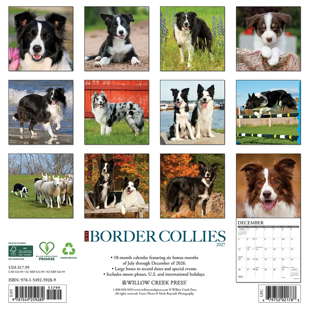 
                  
                    Just Border Collies 2027 Calendar
                  
                