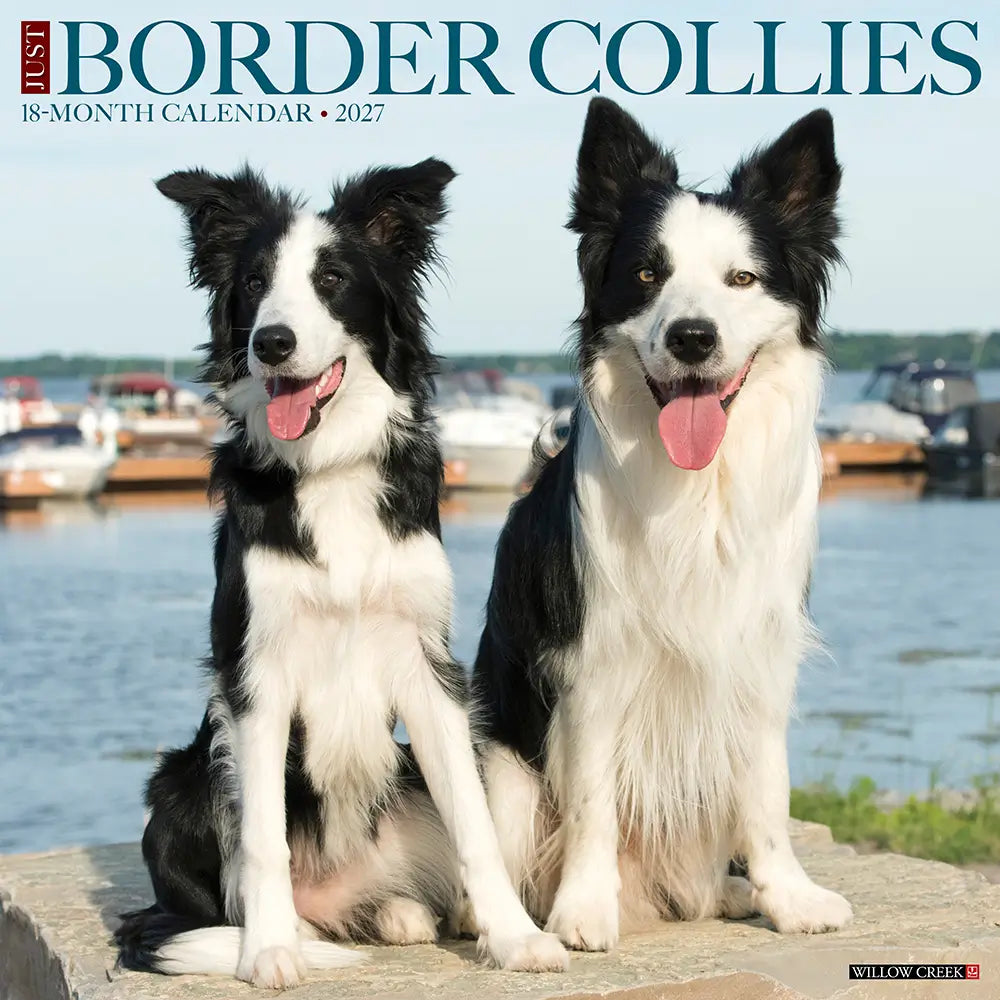 
                  
                    Just Border Collies 2027 Calendar
                  
                