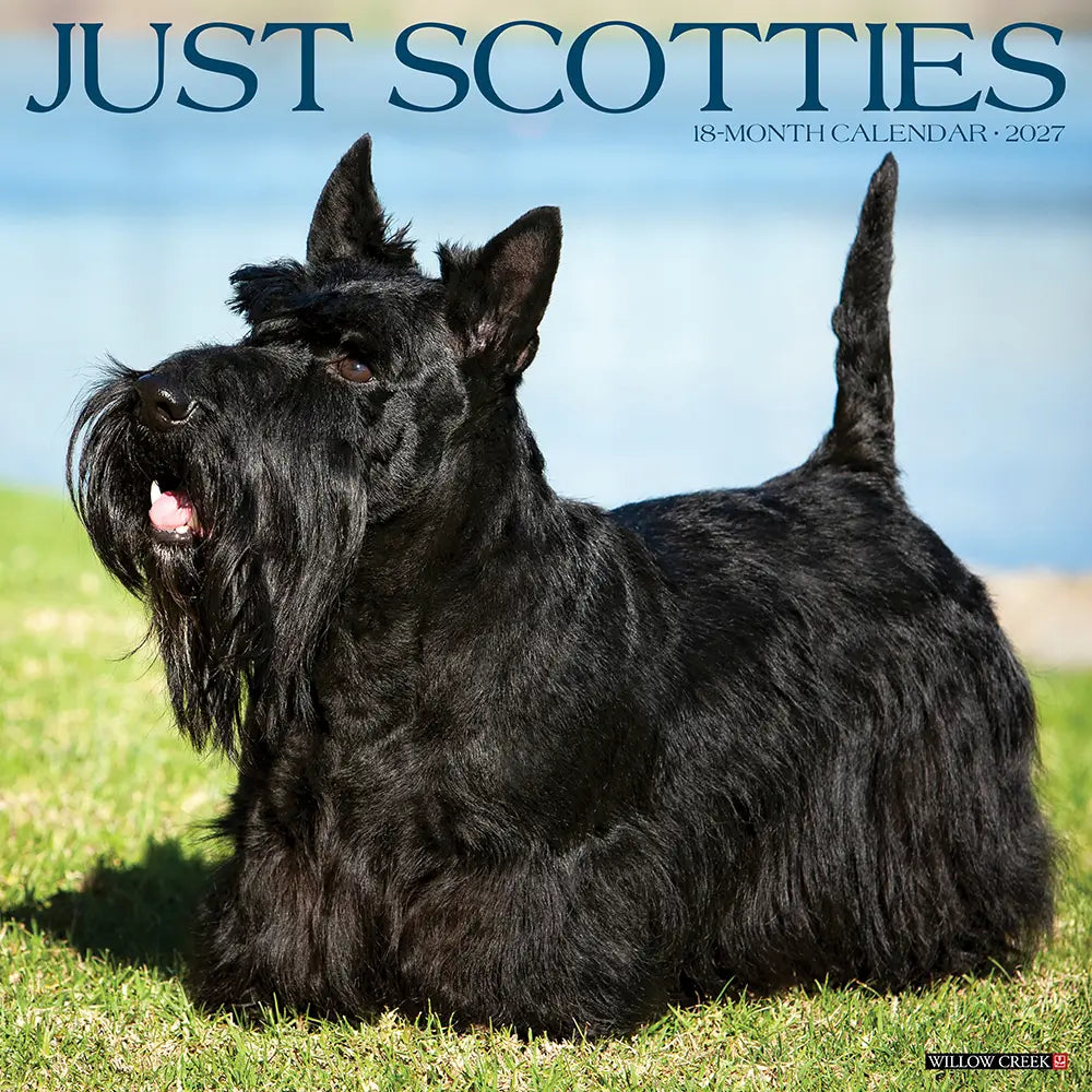 
                  
                    Just Scotties 2027 Calendar
                  
                