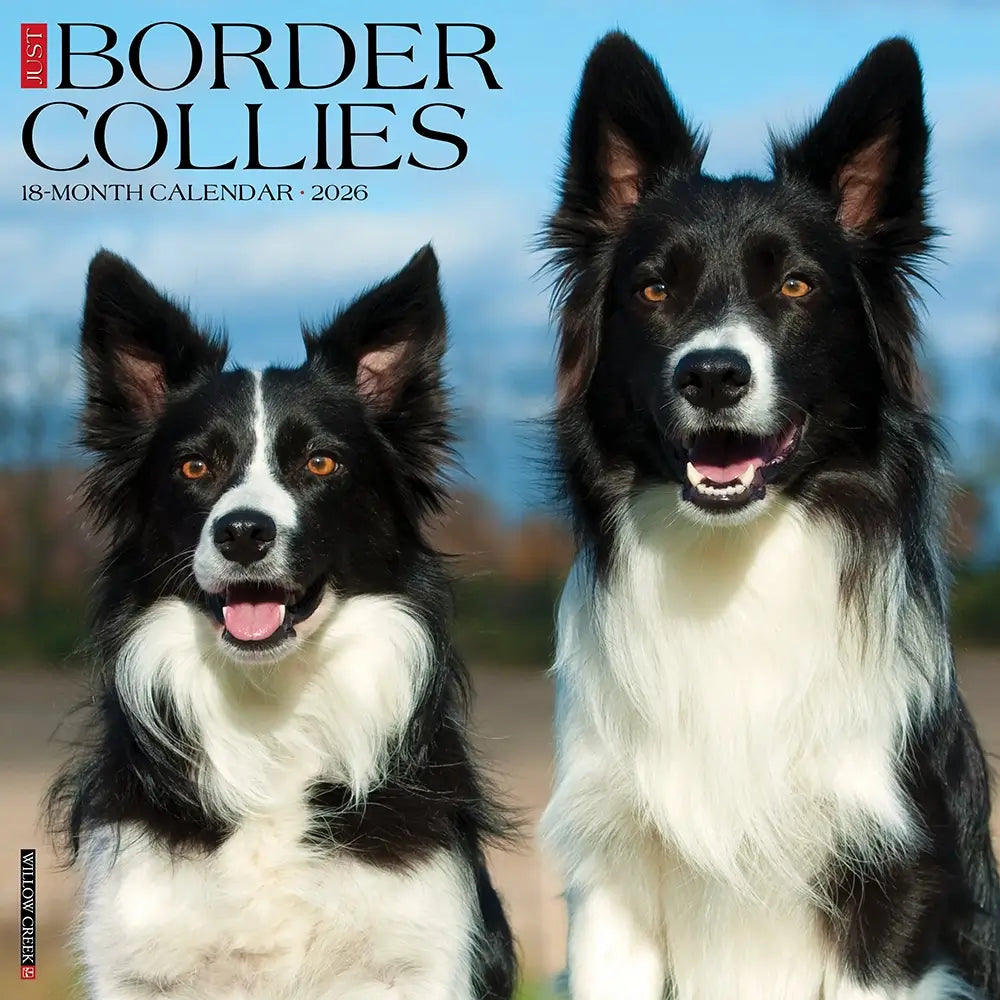 Just Border Collies 2026 Calendar