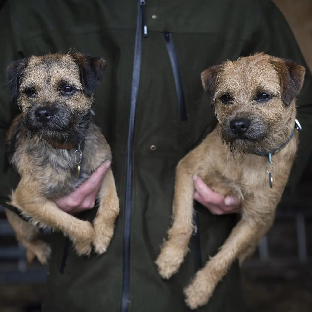 
                  
                    Tails of Scotland
                  
                