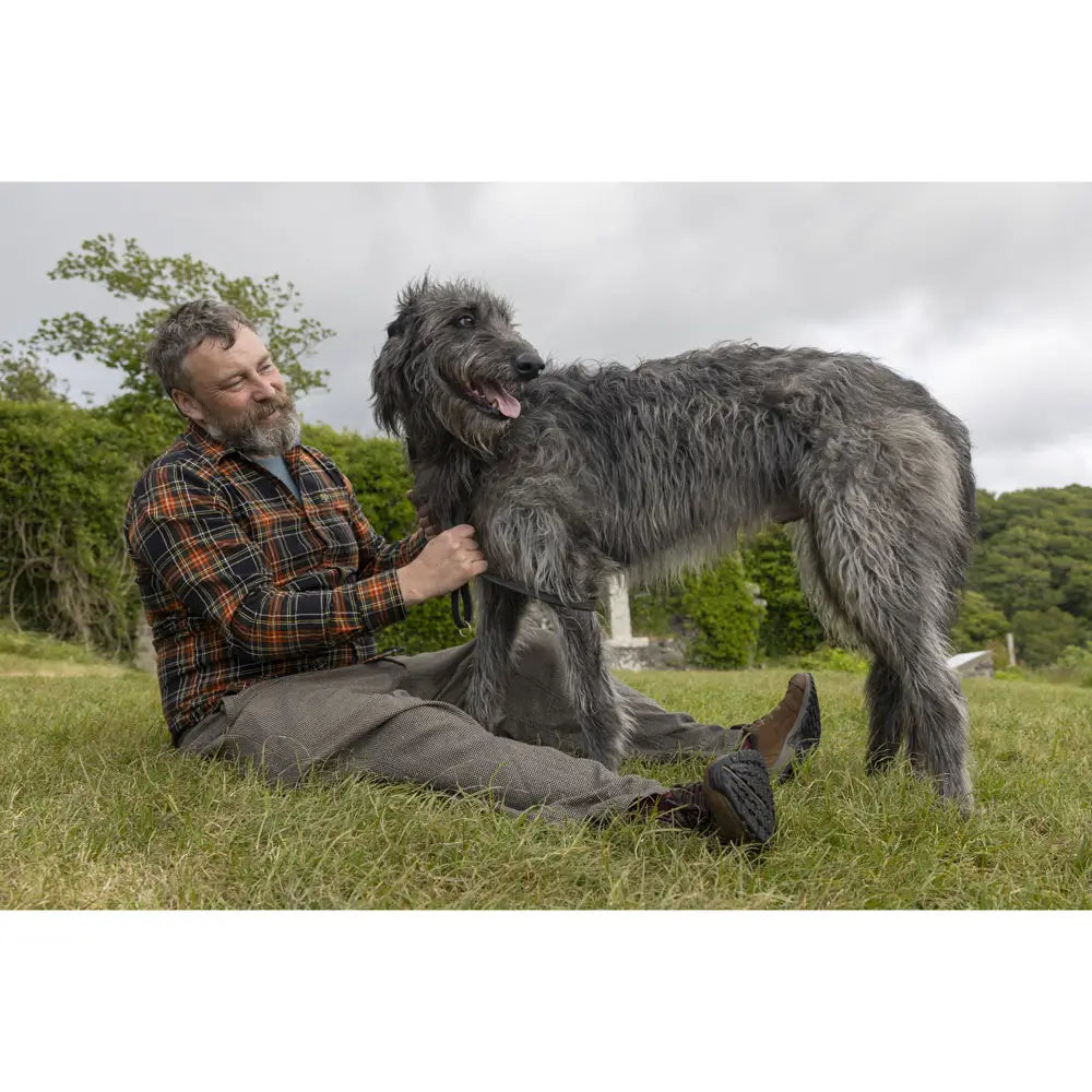 
                  
                    Tails of Scotland
                  
                