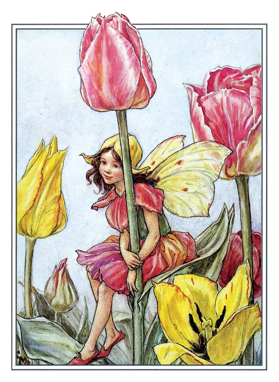 
                  
                    Flower Fairies Postcard Box
                  
                