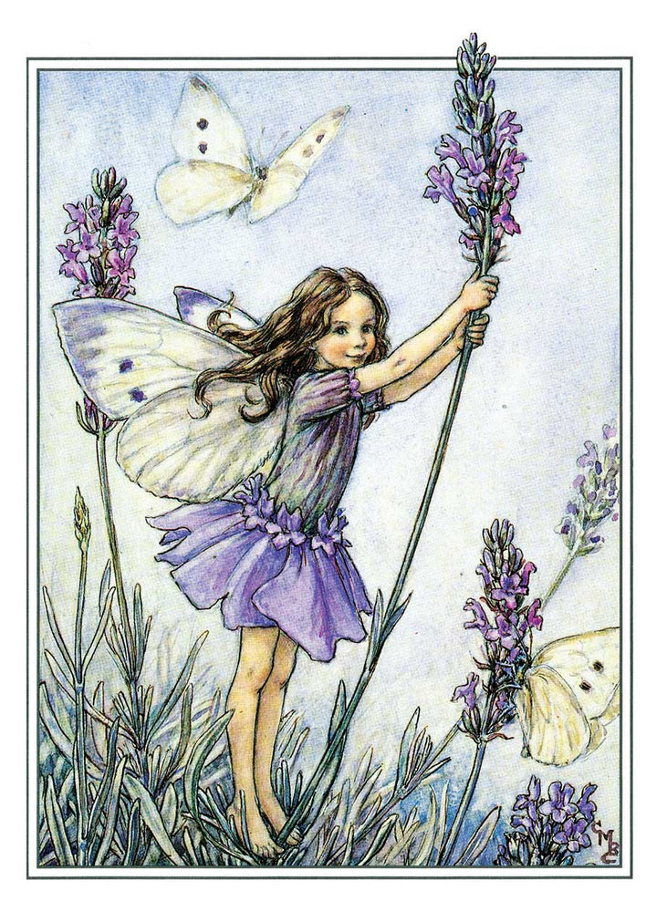 
                  
                    Flower Fairies Postcard Box
                  
                