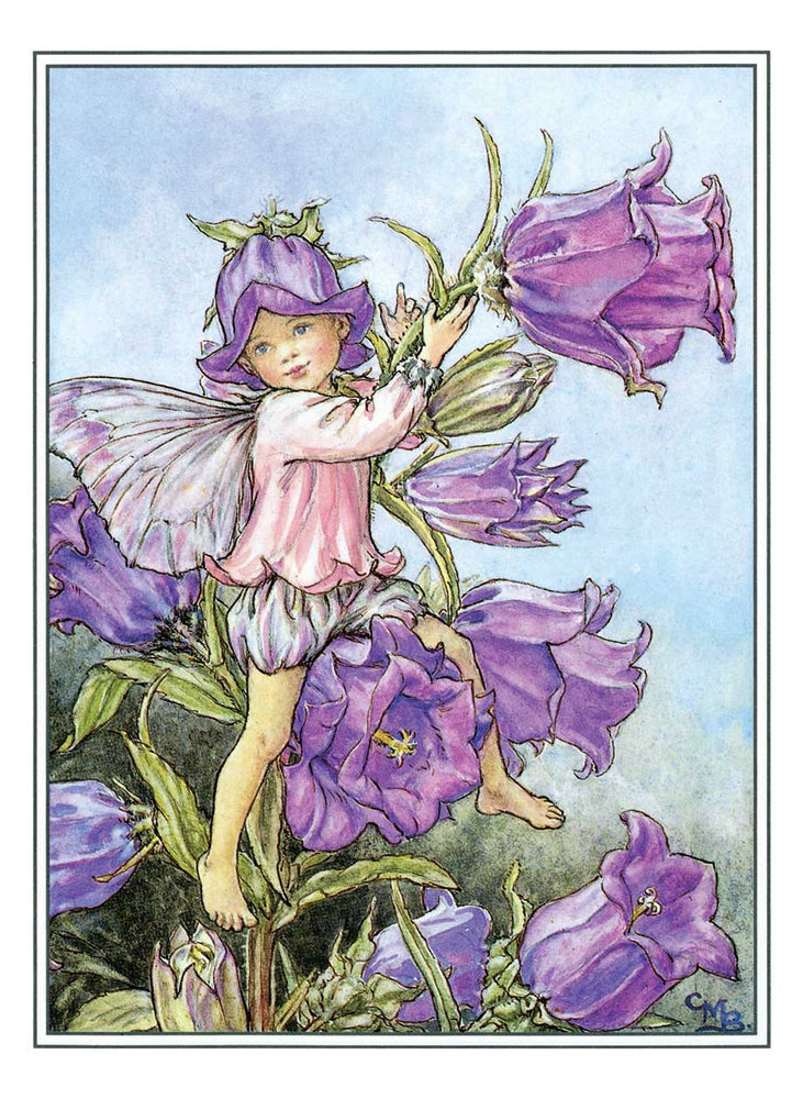 
                  
                    Flower Fairies Postcard Box
                  
                