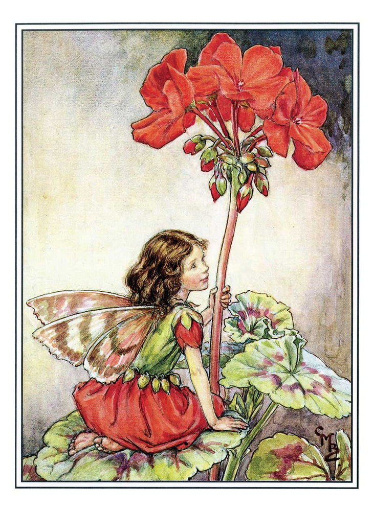 
                  
                    Flower Fairies Postcard Box
                  
                