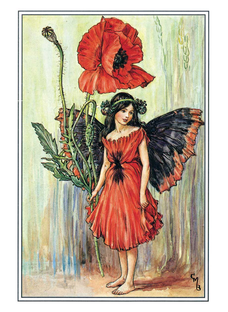 
                  
                    Flower Fairies Postcard Box
                  
                