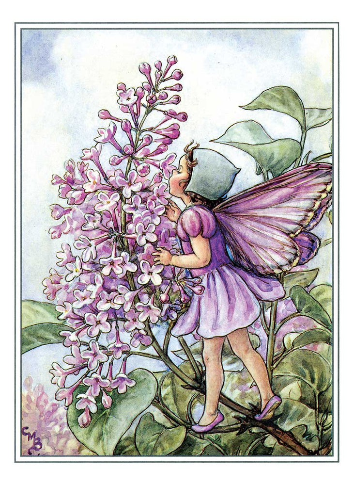 
                  
                    Flower Fairies Postcard Box
                  
                