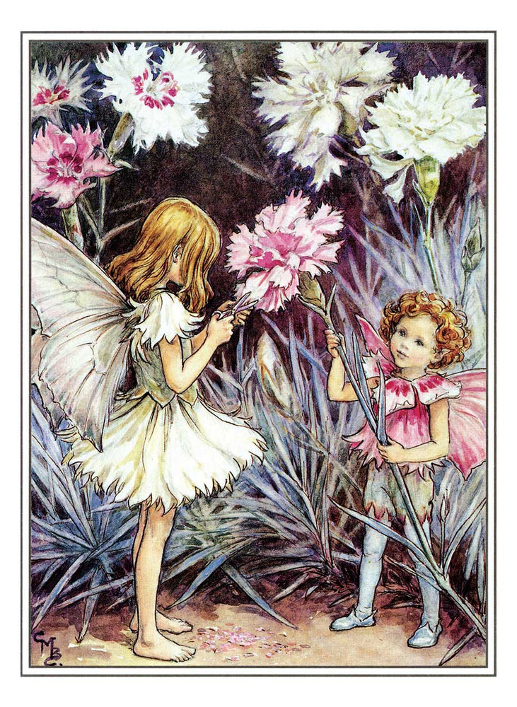 
                  
                    Flower Fairies Postcard Box
                  
                