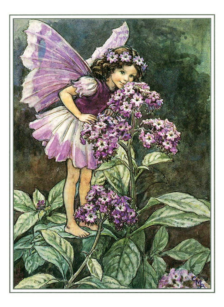 
                  
                    Flower Fairies Postcard Box
                  
                