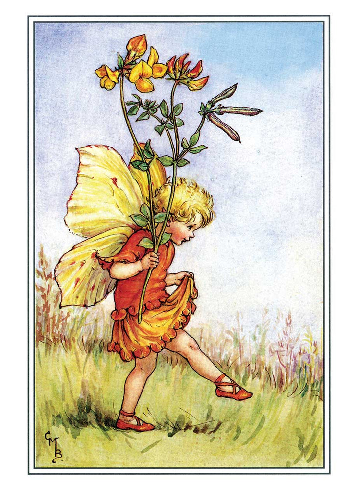 
                  
                    Flower Fairies Postcard Box
                  
                