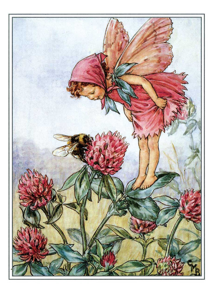 
                  
                    Flower Fairies Postcard Box
                  
                