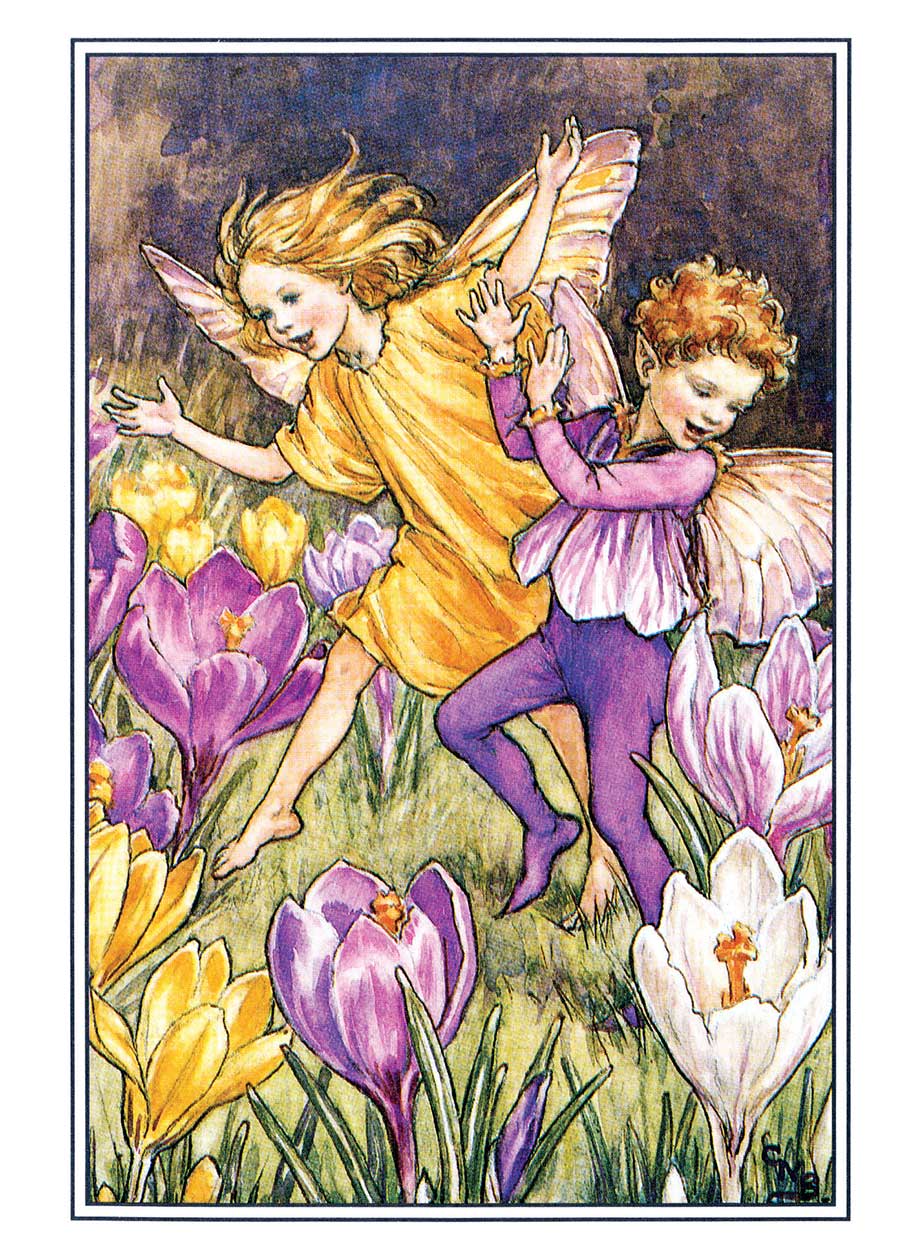 
                  
                    Flower Fairies Postcard Box
                  
                