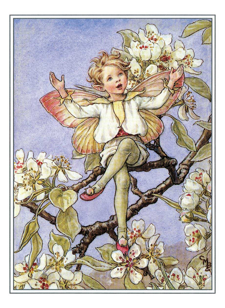 
                  
                    Flower Fairies Postcard Box
                  
                