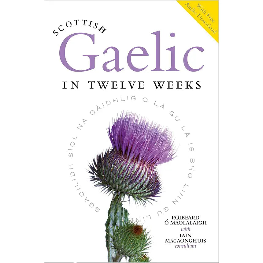 Scottish Gaelic in 12 weeks with Audio Download