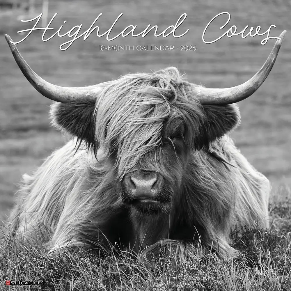 Highland Cow Black & White 2026 Square Calendar