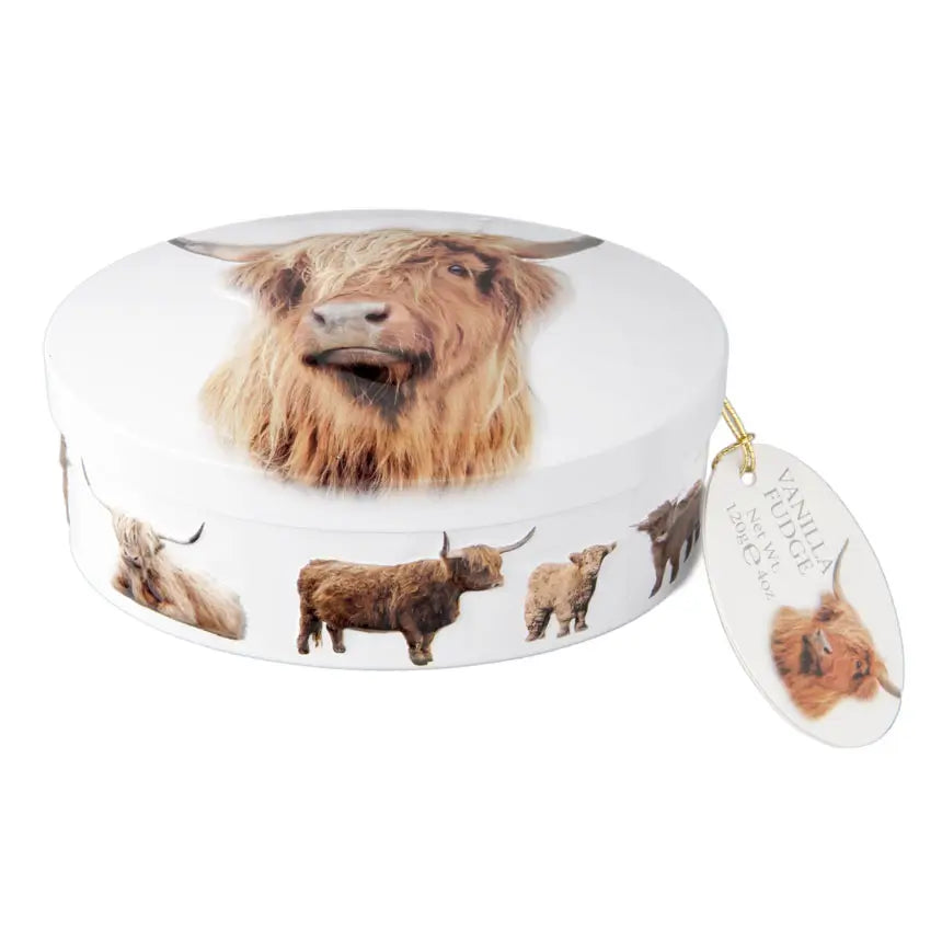 Highland Cow Oval Fudge Tin 4.2 oz.