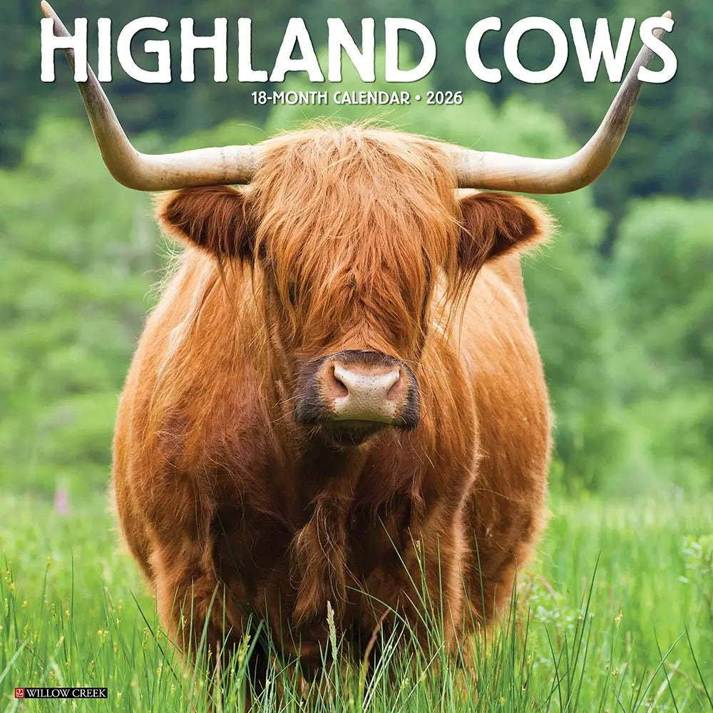 Highland Cow 2026 Square Calendar