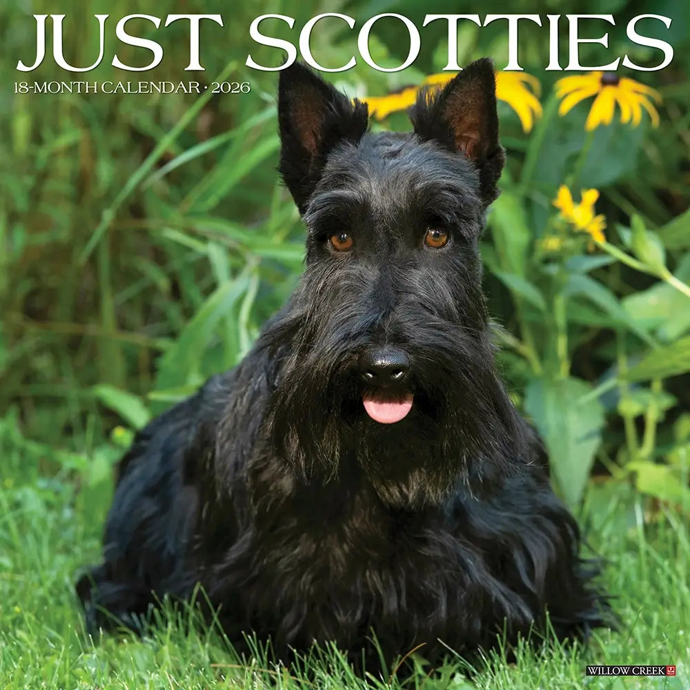 Just Scotties 2026 Calendar