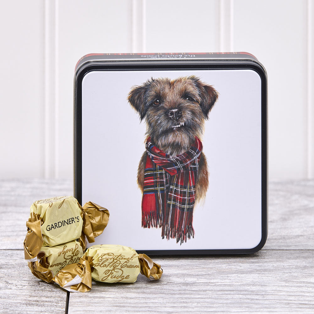 Murray, Border Terrier, Clotted Cream Fudge Tin