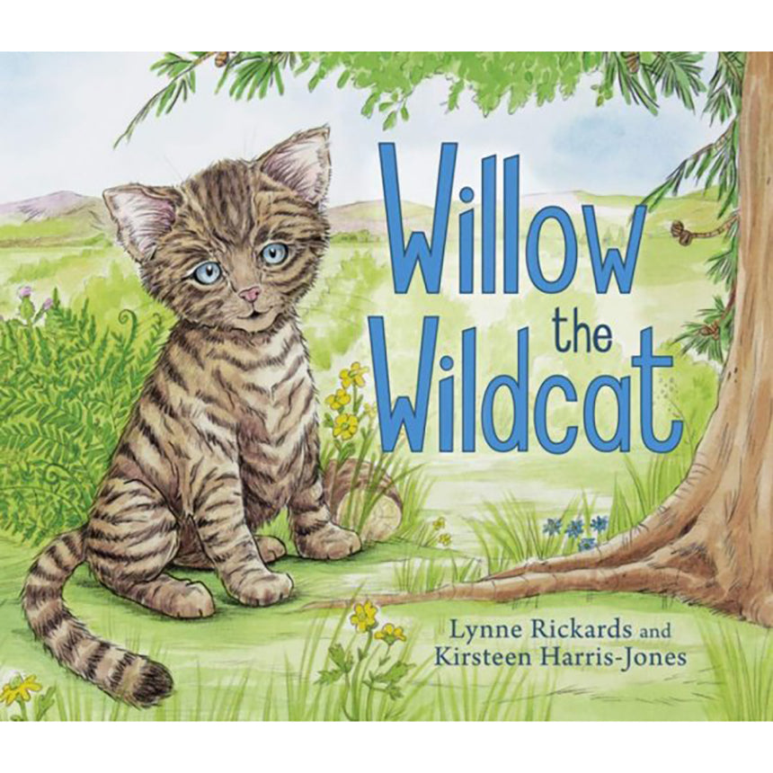 Willow The Wildcat book for children